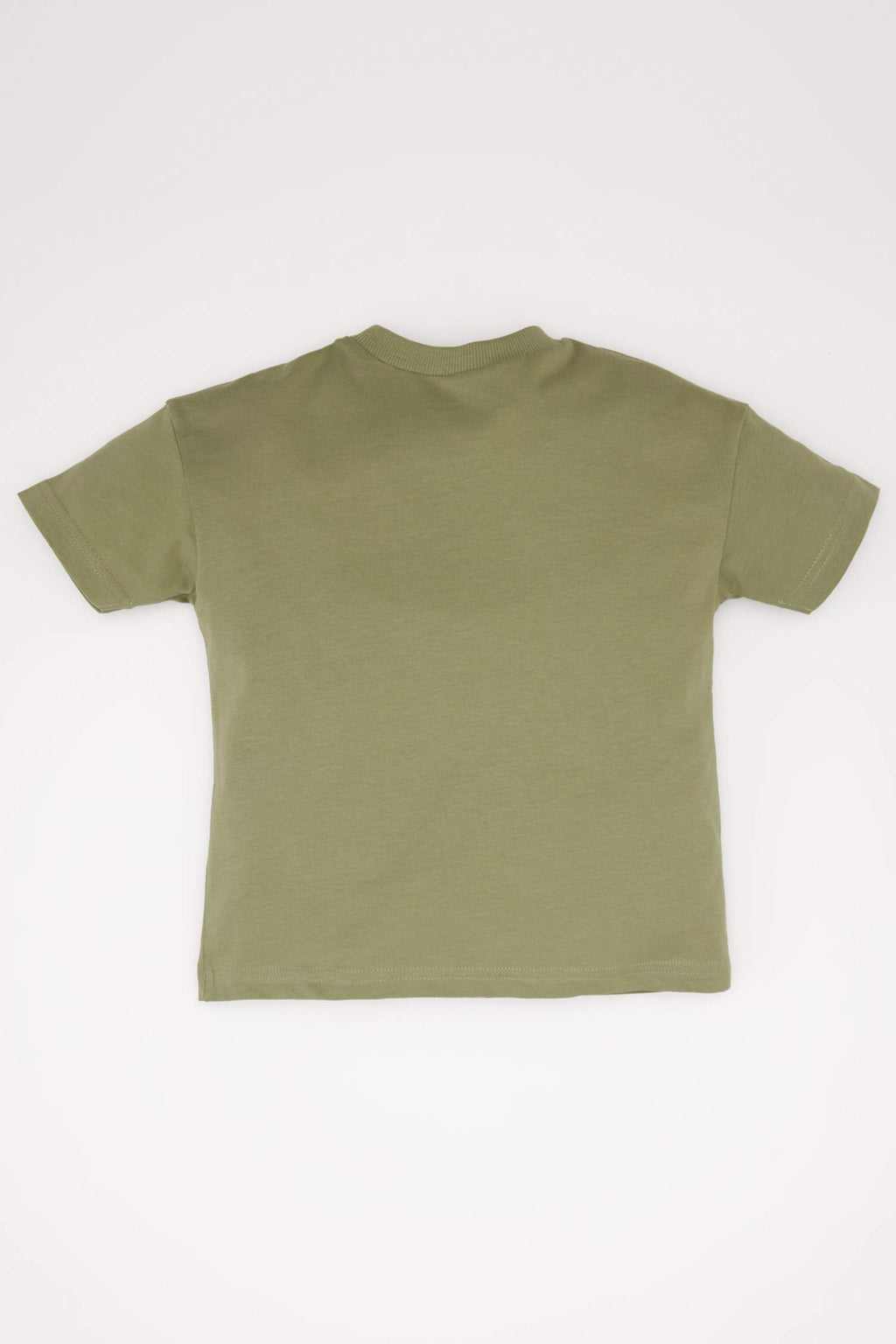 Baby Boy Regular Fit Crew Neck T-Shirt