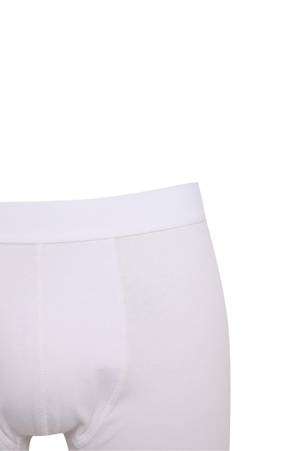 Regular Fit 3 Piece Boxers