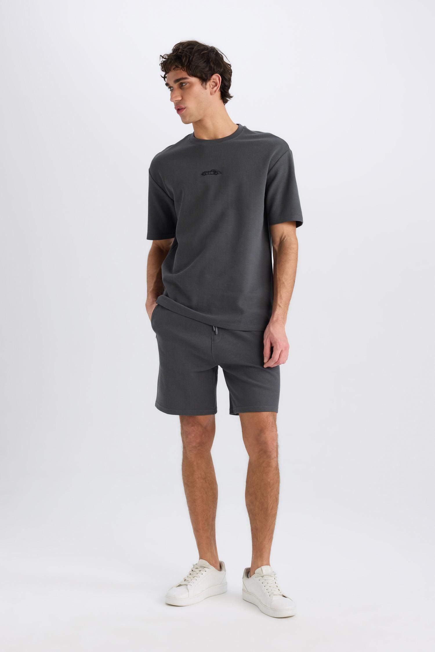 Regular Fit Regular Hem Shorts