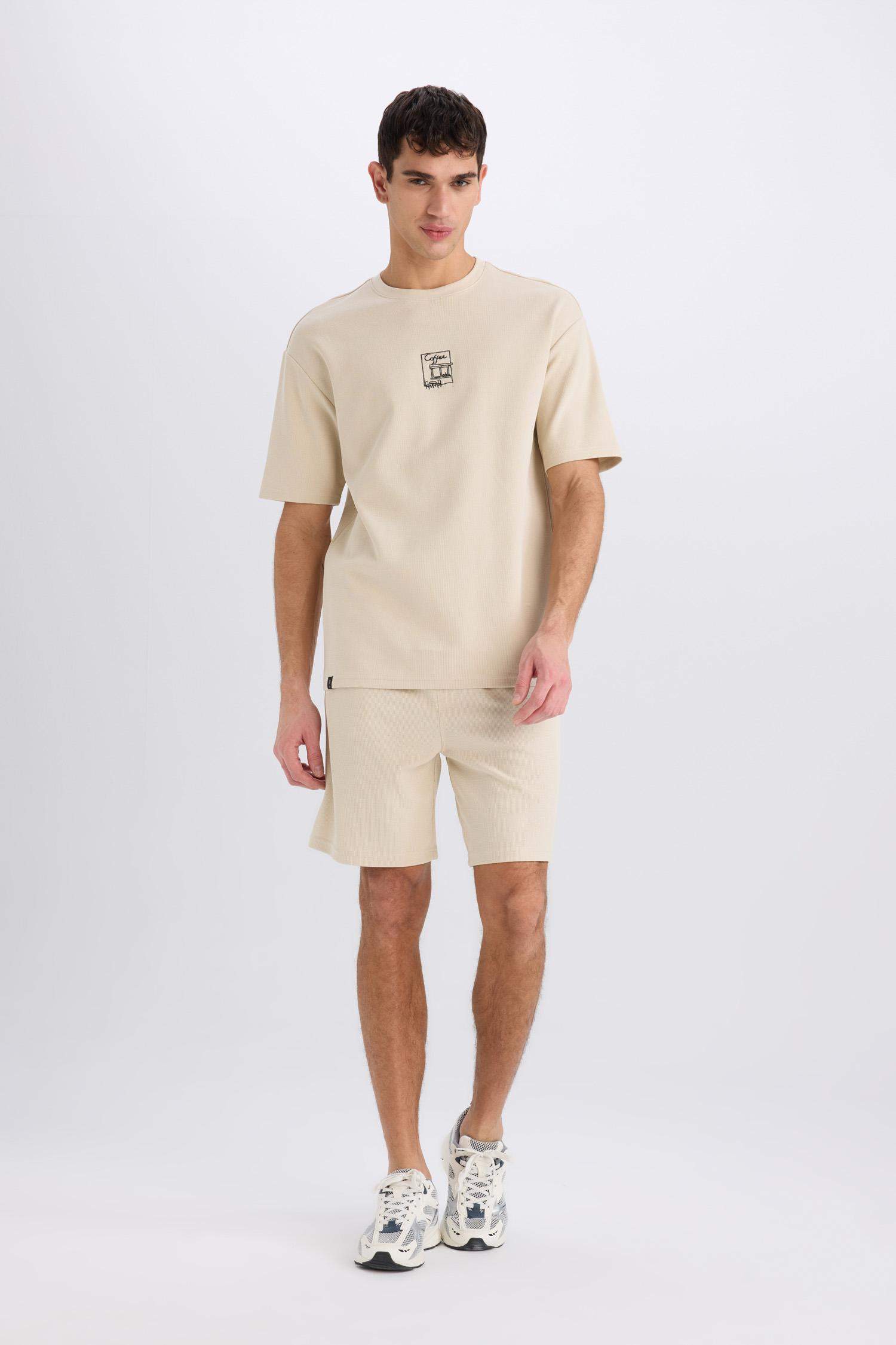 Regular Fit Regular Hem Shorts