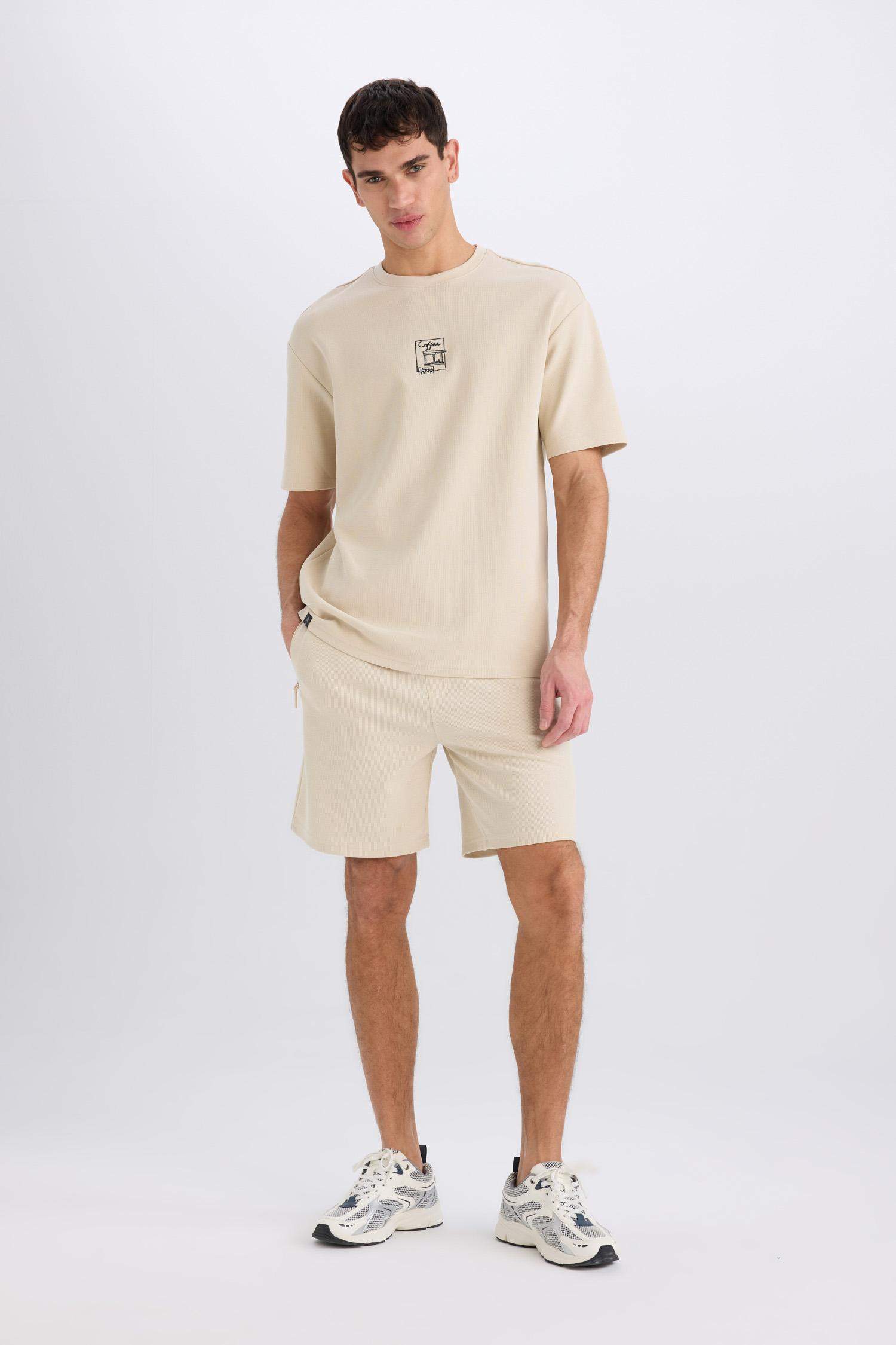 Regular Fit Regular Hem Shorts