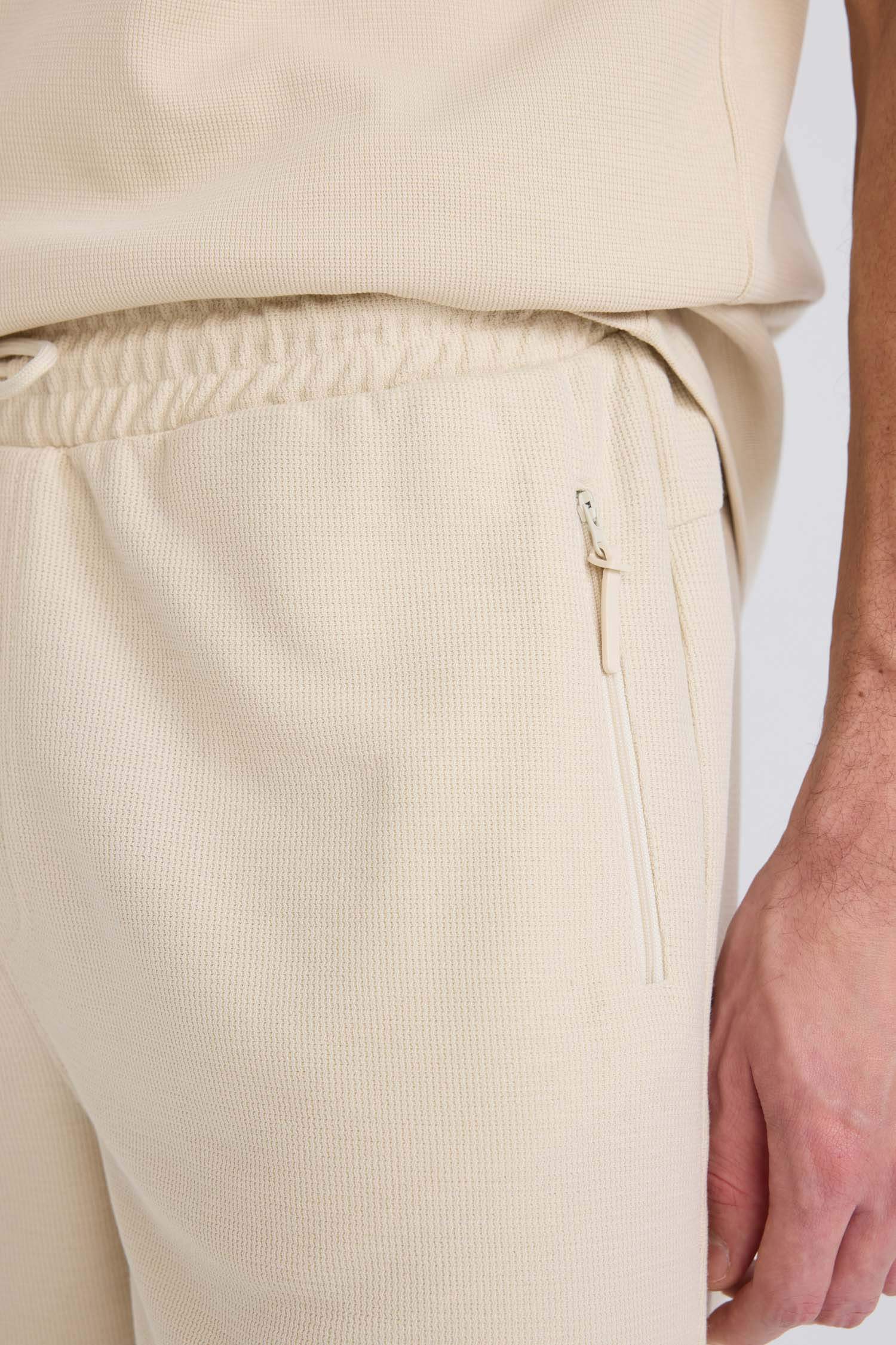 Regular Fit Regular Hem Shorts