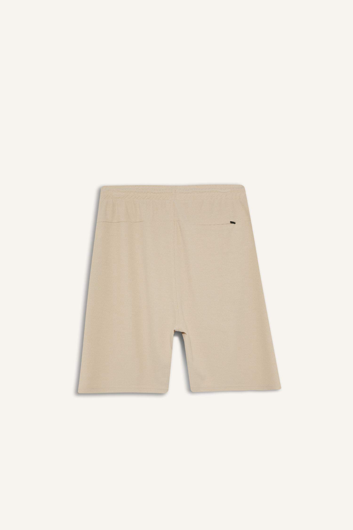 Regular Fit Regular Hem Shorts