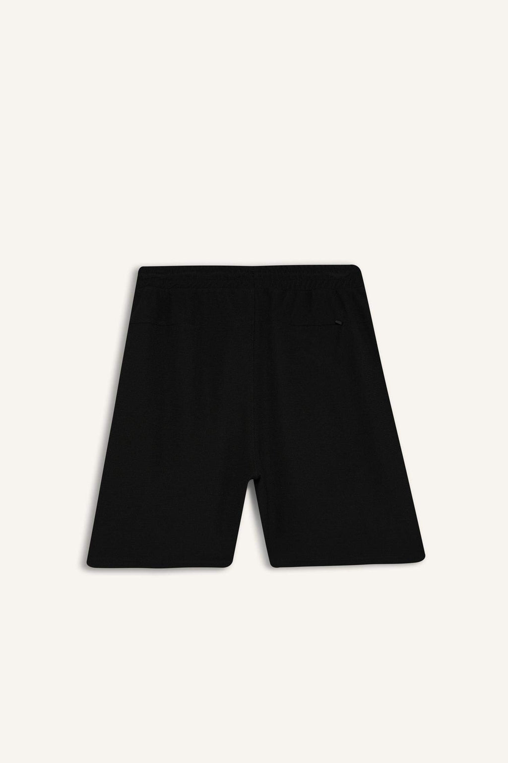 Regular Fit Regular Hem Shorts