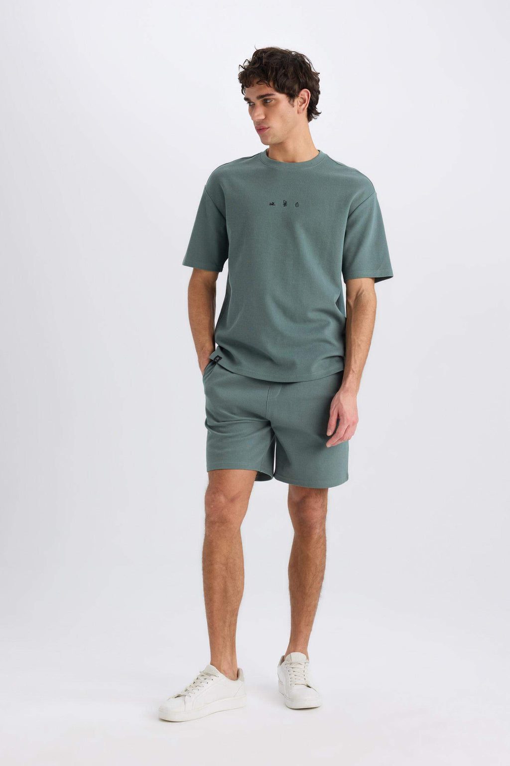 Regular Fit Regular Hem Shorts
