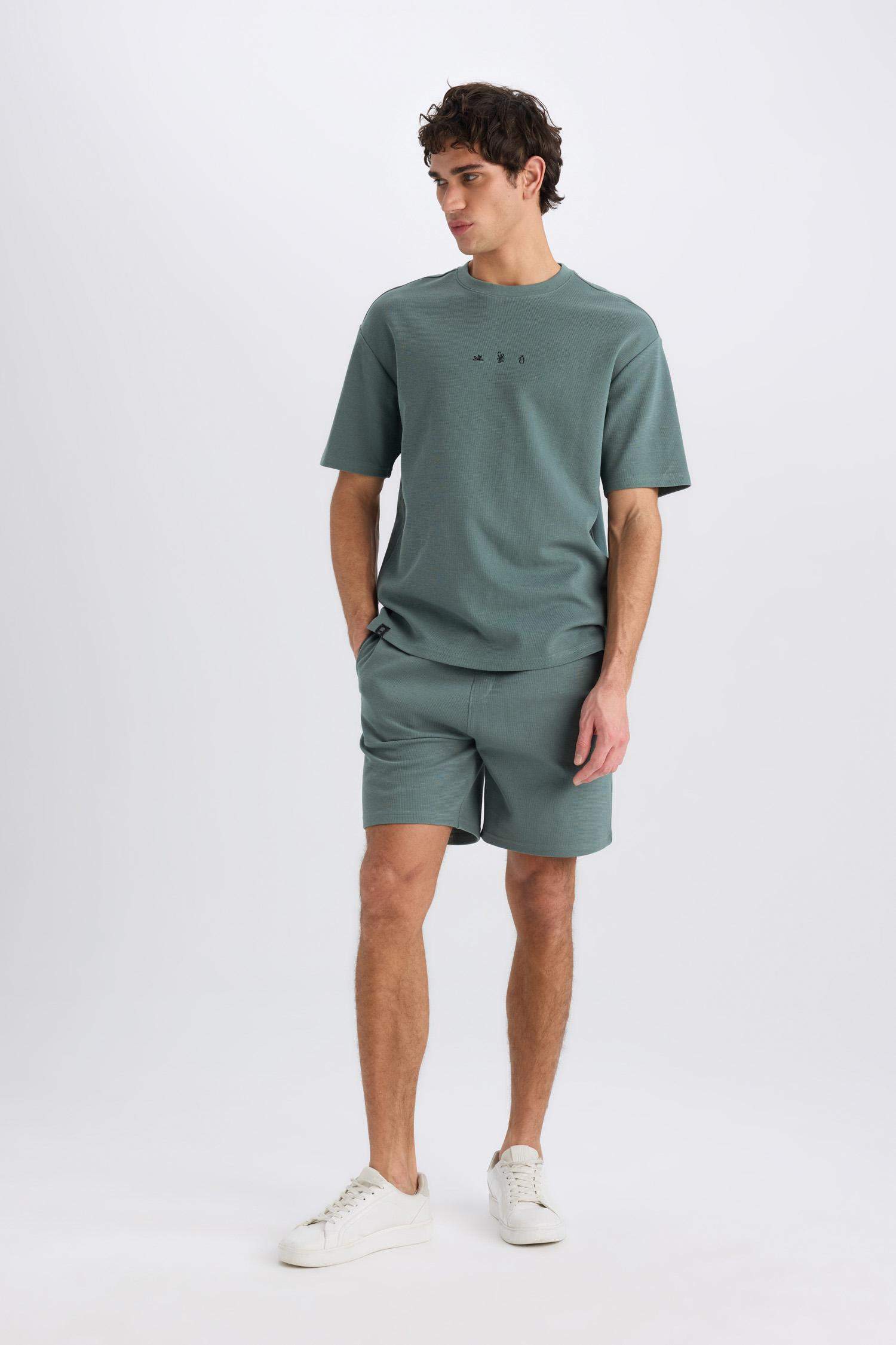 Regular Fit Regular Hem Shorts