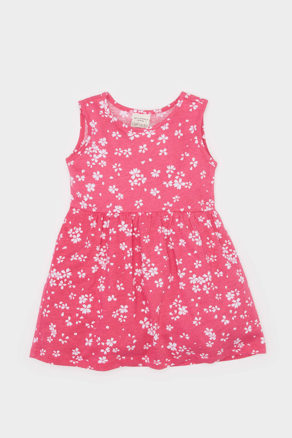 Baby Girl Floral Patterned Sleeveless Summer Dress