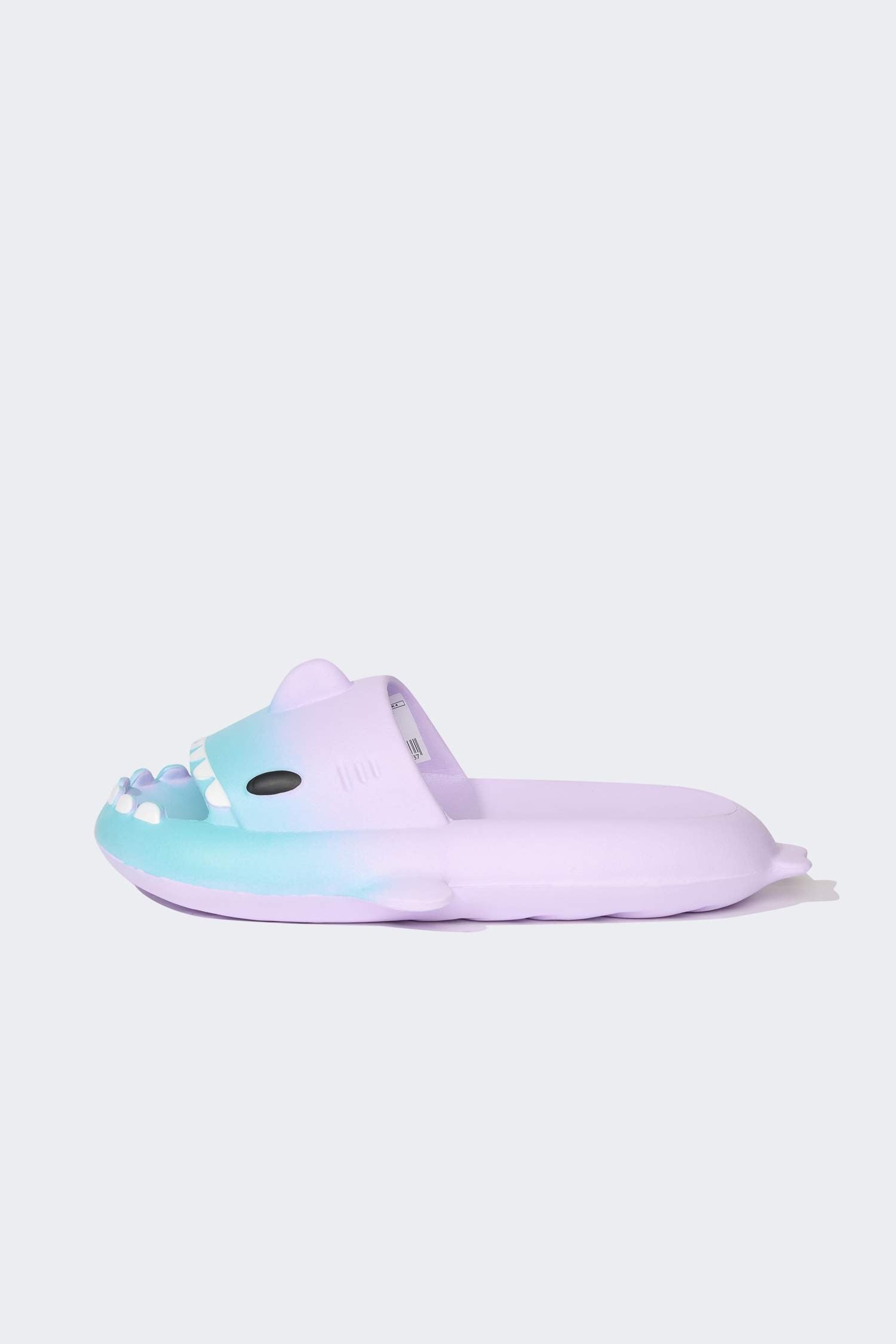 Woman Flat Sole Single Band Eva Slippers