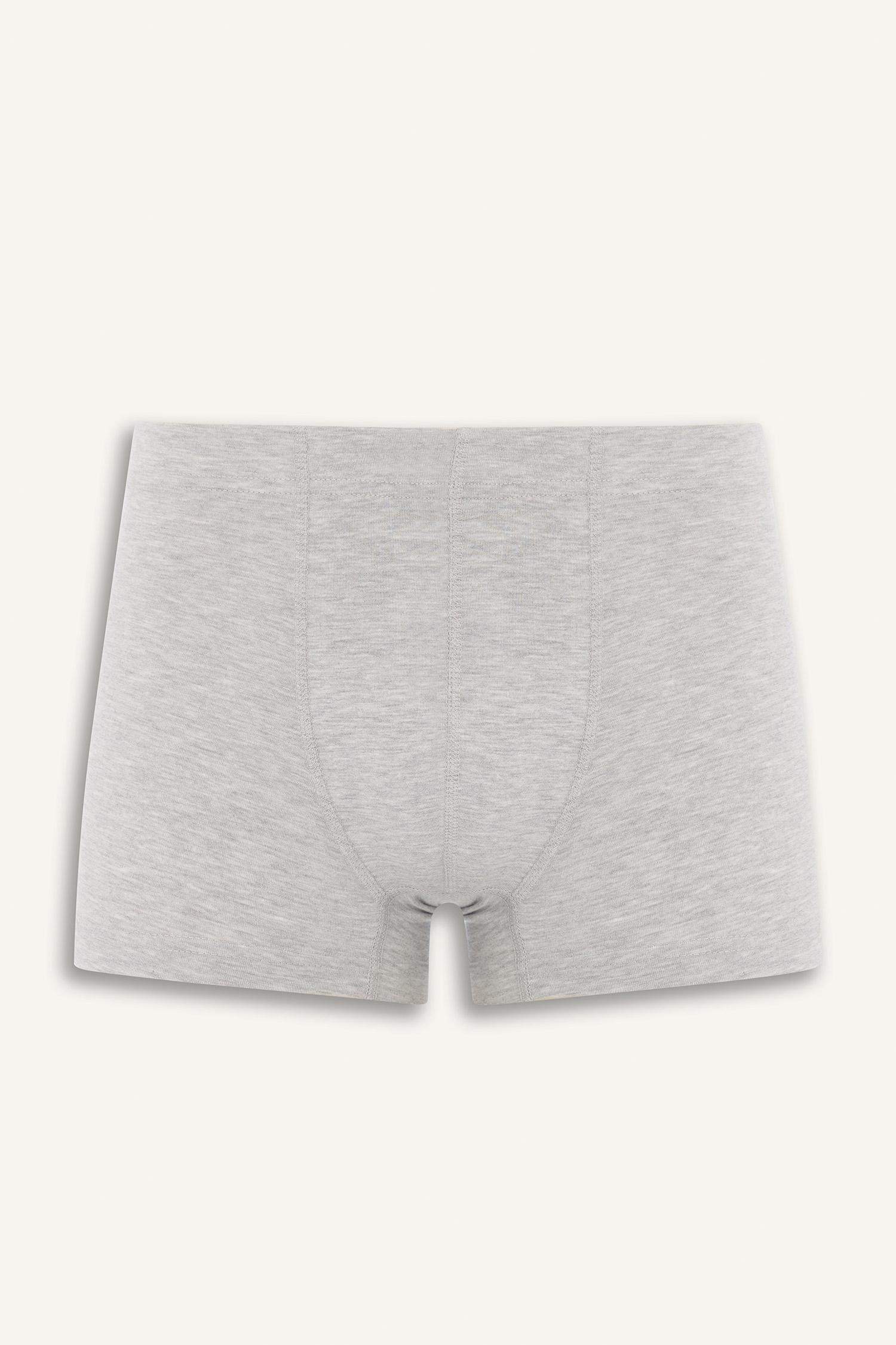 Regular Fit 3-Pack Boxer