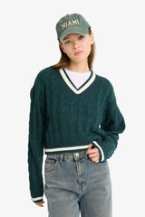Regular Fit V-Neck Cable Knit Sweater