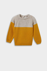 Baby Boy Crew Neck Color Block Knit Sweater