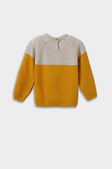 Baby Boy Crew Neck Color Block Knit Sweater