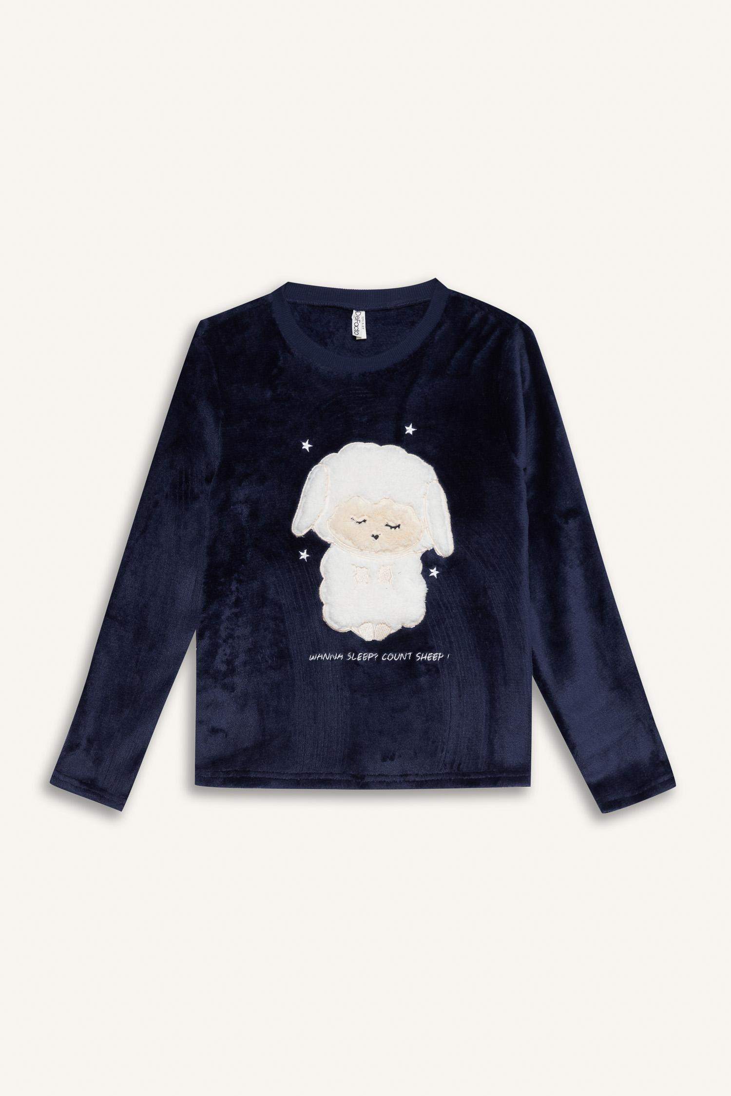 Girls Pajama Set Plush Printed Long Sleeve Top and Patterned Long Bottom