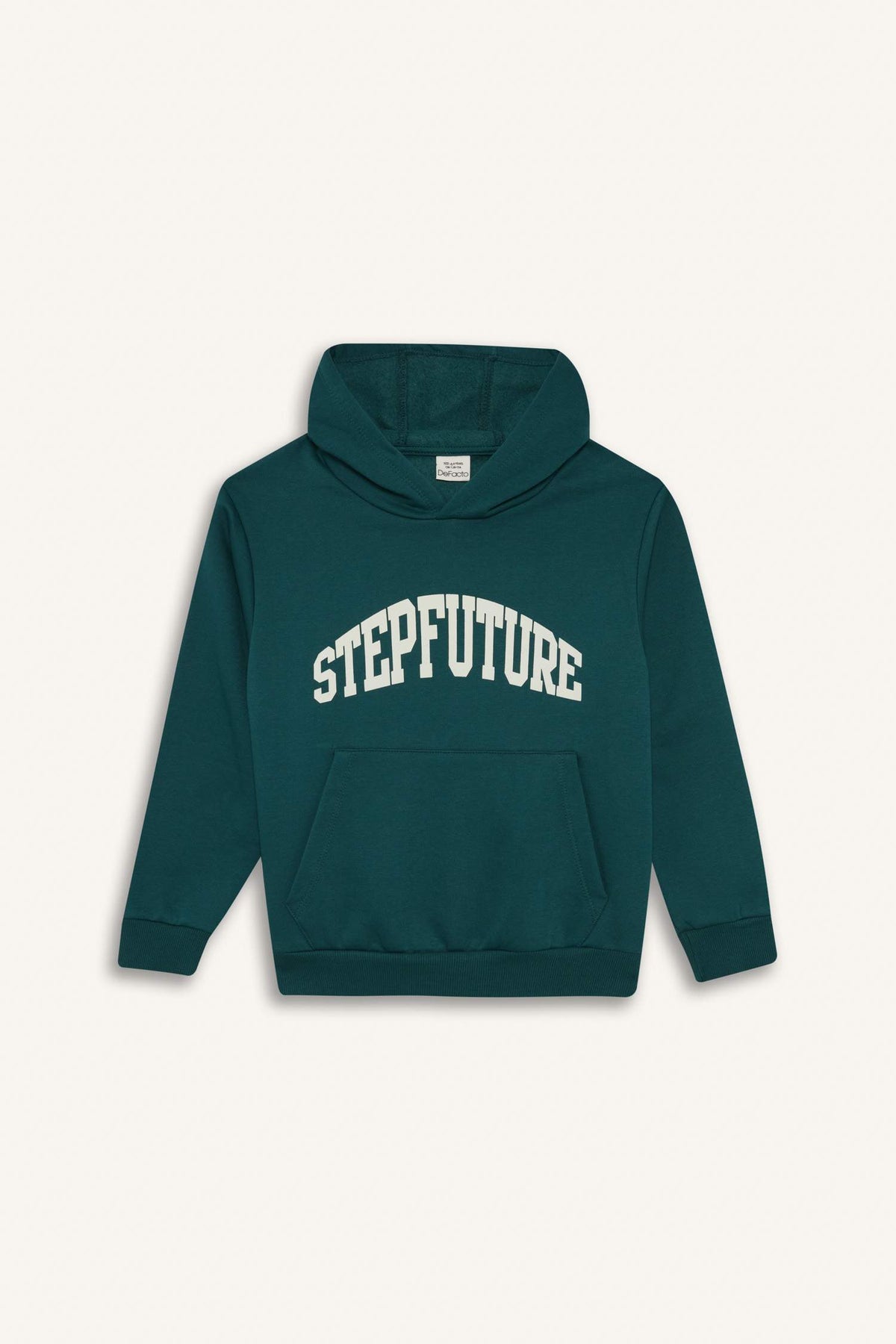 Boys Hooded Sweatshirt with Soft Furry Inside and Print