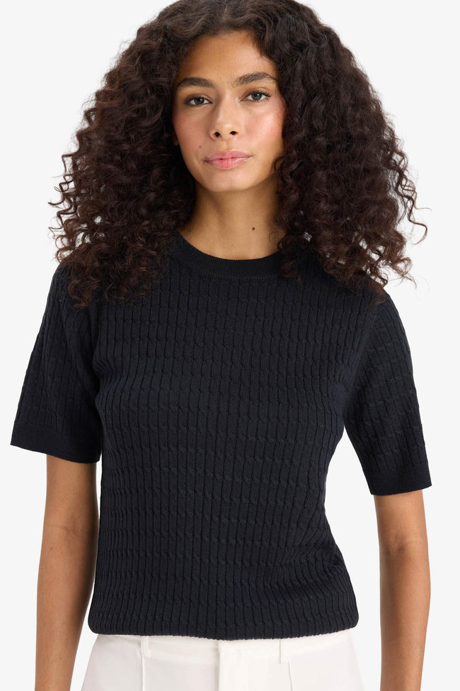 Regular Fit Crew Neck Short Sleeve Knitwear Sweater Hover Image