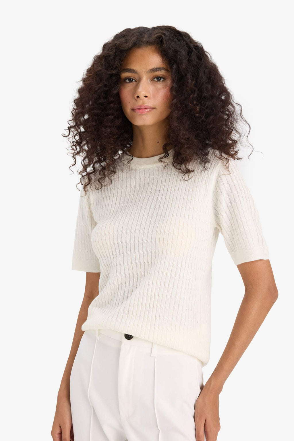 Regular Fit Crew Neck Short Sleeve Knitwear Sweater