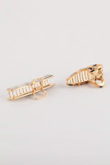 2-Pack Leopard Patterned Latch Buckle