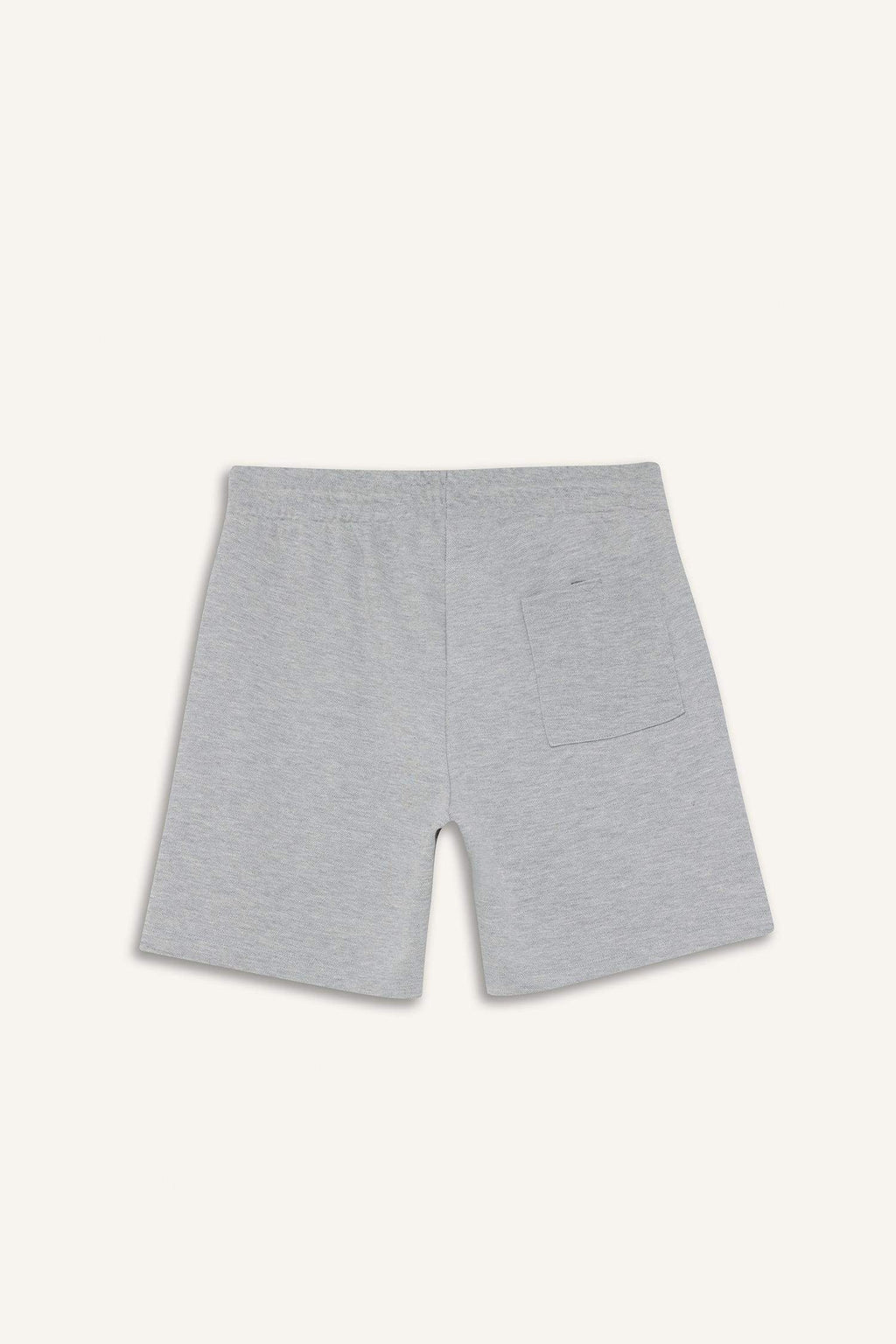 Regular Fit Basic Shorts