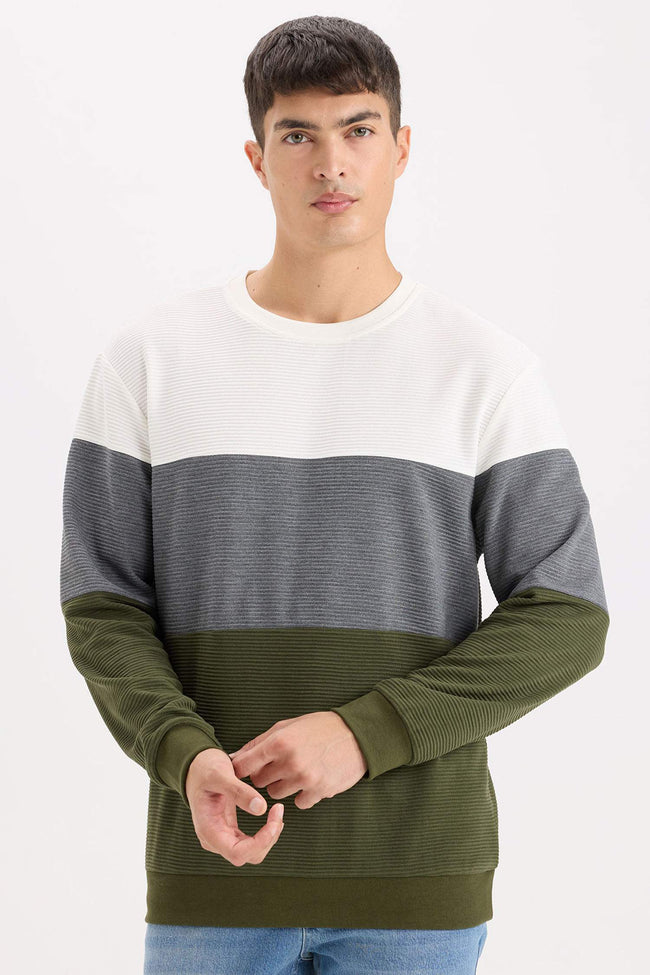 Regular Fit Crew Neck Color Block Jacquard Sweatshirt Hover Image