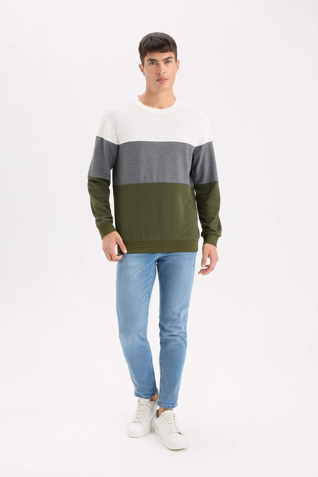 Regular Fit Crew Neck Color Block Jacquard Sweatshirt Main Image