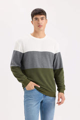 Regular Fit Crew Neck Color Block Jacquard Sweatshirt