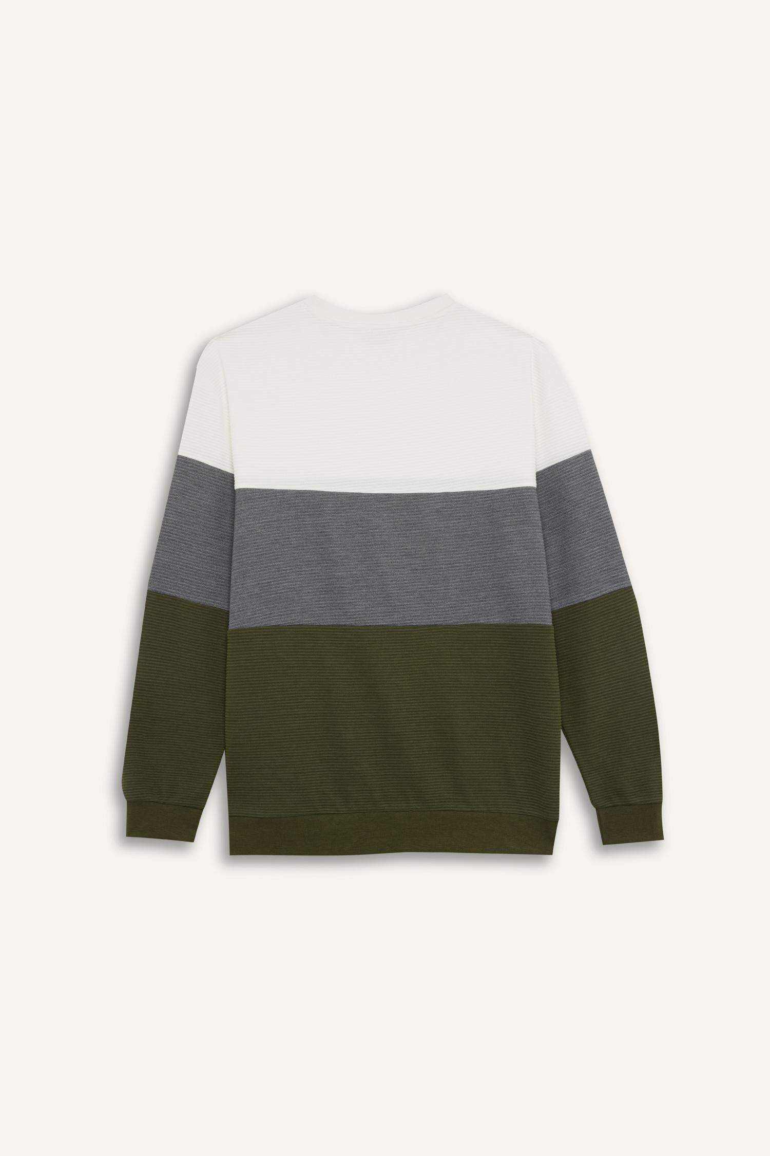 Regular Fit Crew Neck Color Block Jacquard Sweatshirt