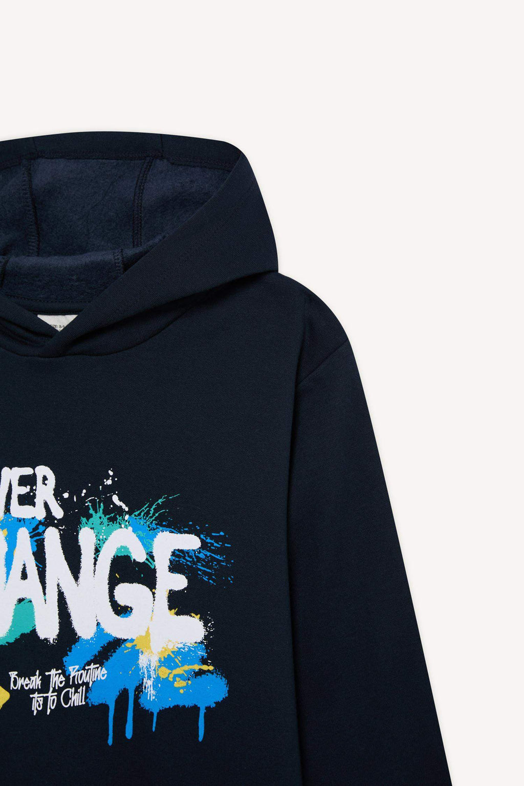 Boys Hooded Printed Sweatshirt with Soft Fleece Lining