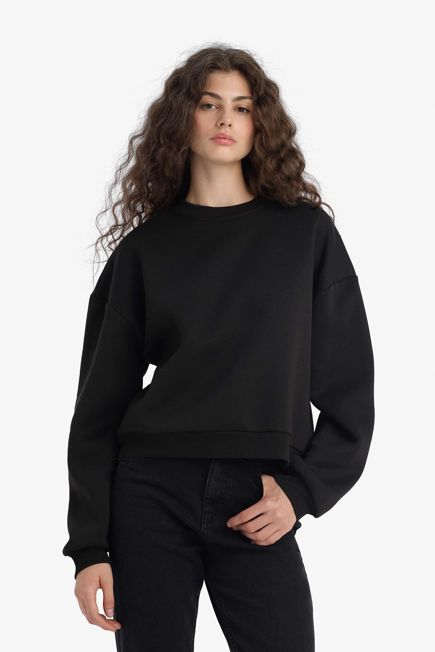 Regular Fit Crew Neck Thick Basic Plain Sweatshirt