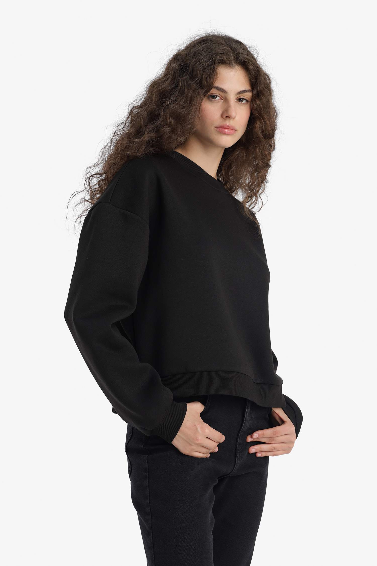 Regular Fit Crew Neck Thick Basic Plain Sweatshirt