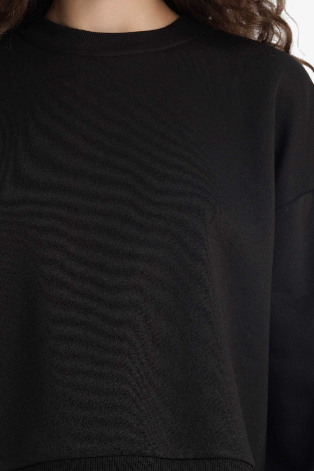 Regular Fit Crew Neck Thick Basic Plain Sweatshirt