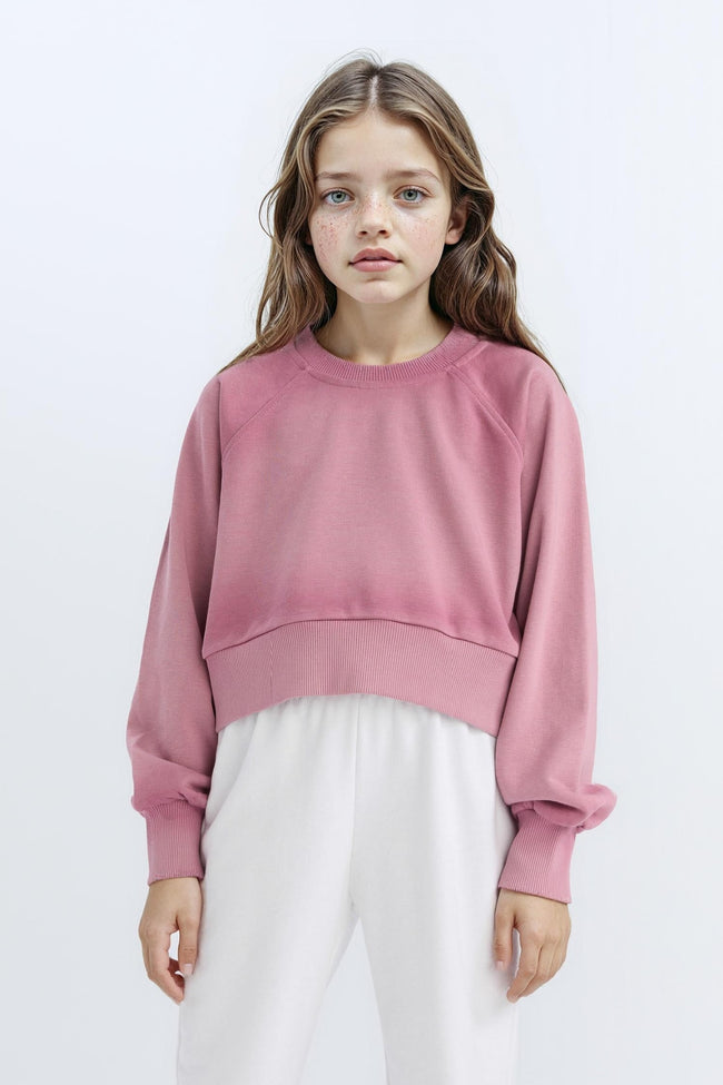 Girls Relax Fit Crew Neck Crop Basic Plain Sweatshirt Hover Image