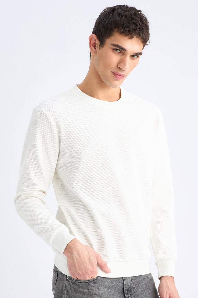 Regular Fit Crew Neck Textured Jacquard Sweatshirt Hover Image