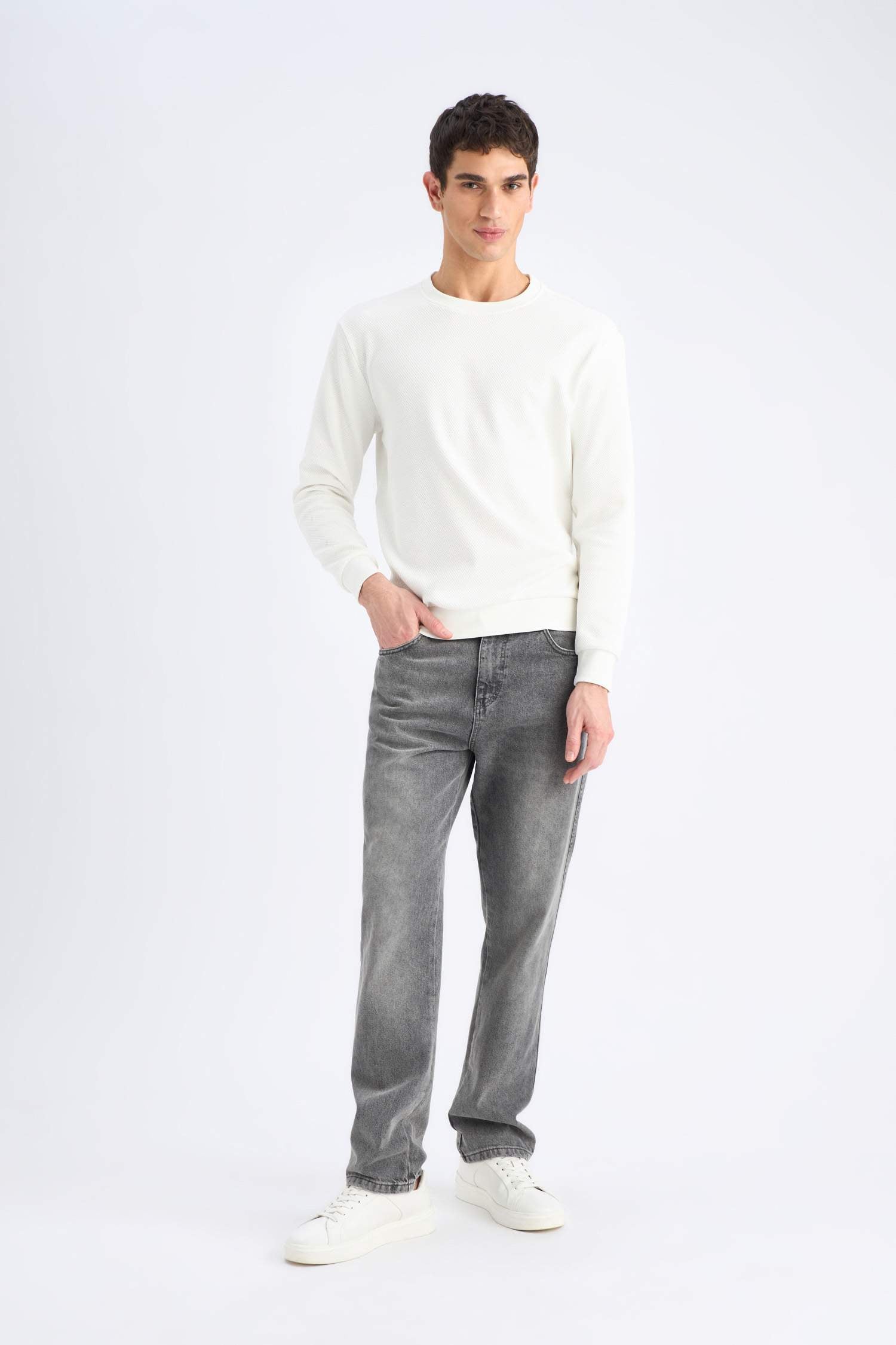 Regular Fit Crew Neck Textured Jacquard Sweatshirt