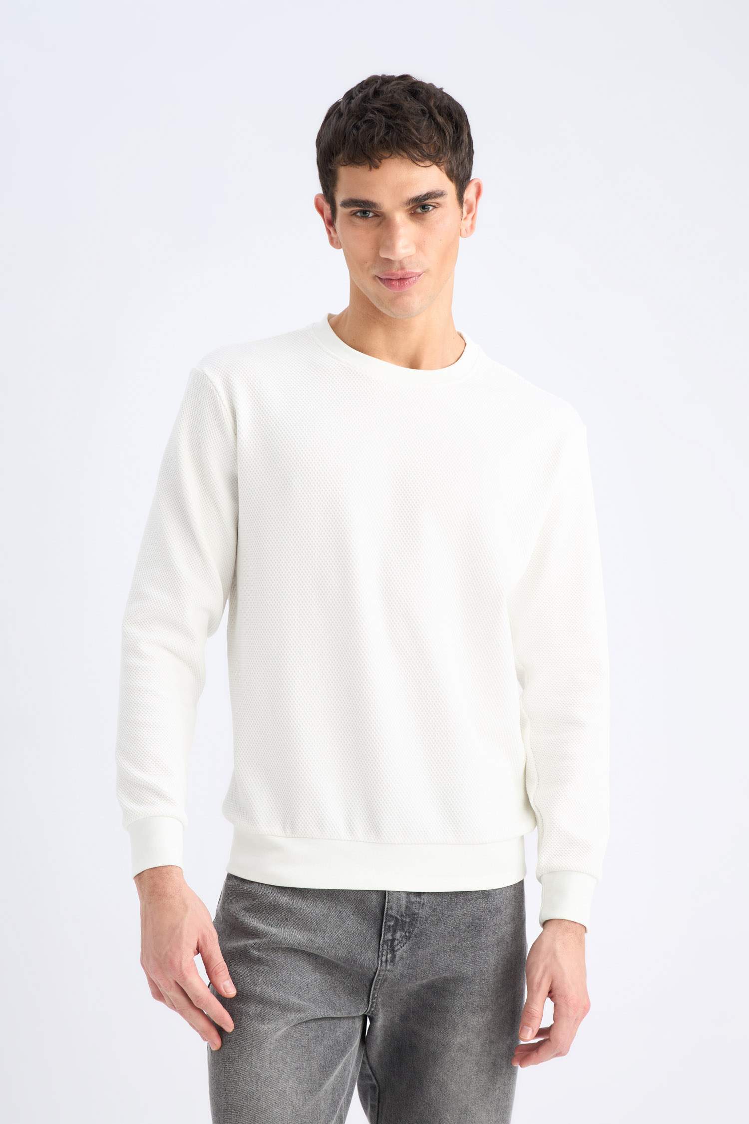 Regular Fit Crew Neck Textured Jacquard Sweatshirt