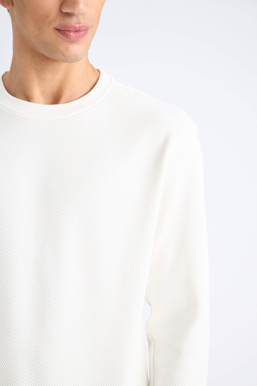 Regular Fit Crew Neck Textured Jacquard Sweatshirt