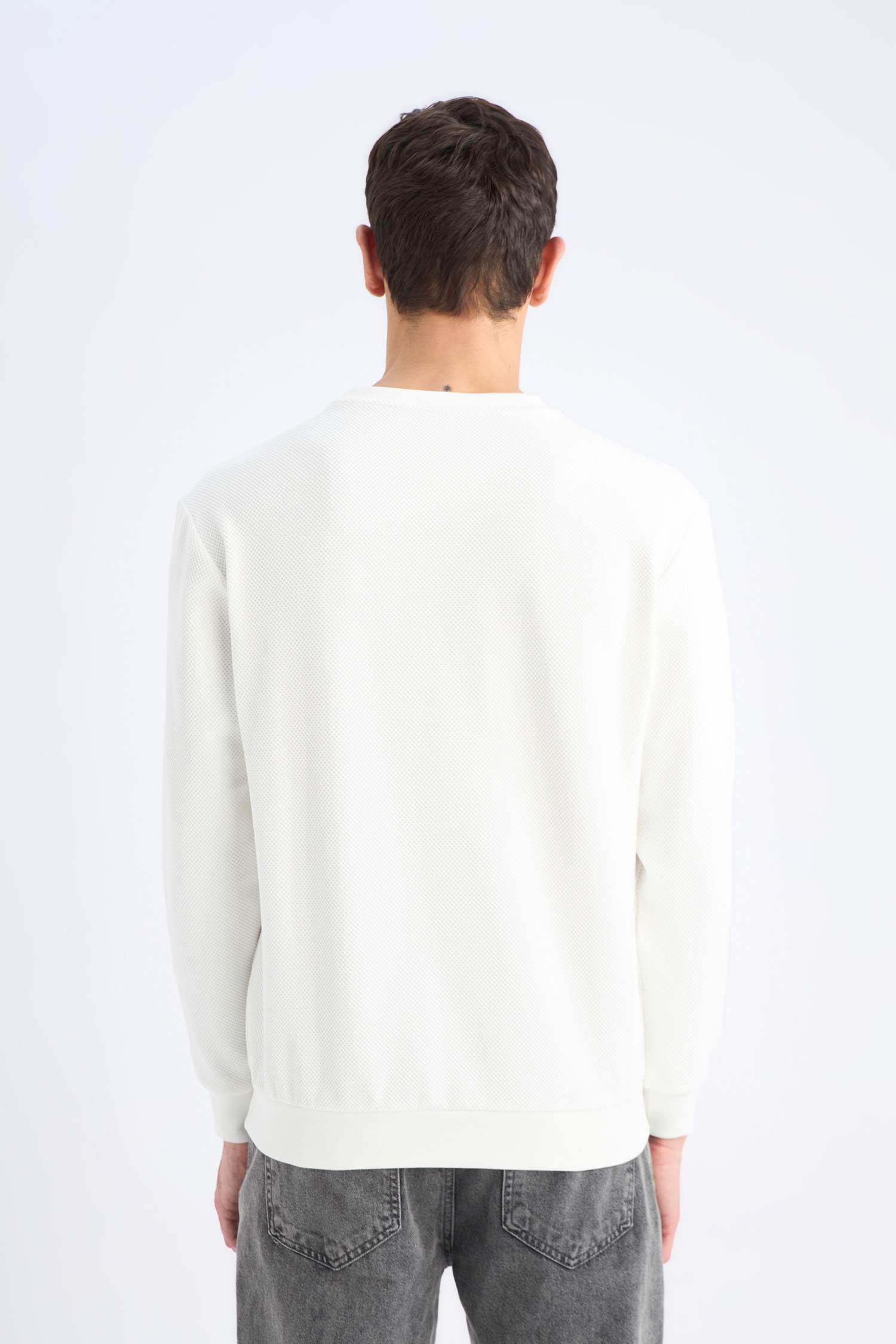 Regular Fit Crew Neck Textured Jacquard Sweatshirt