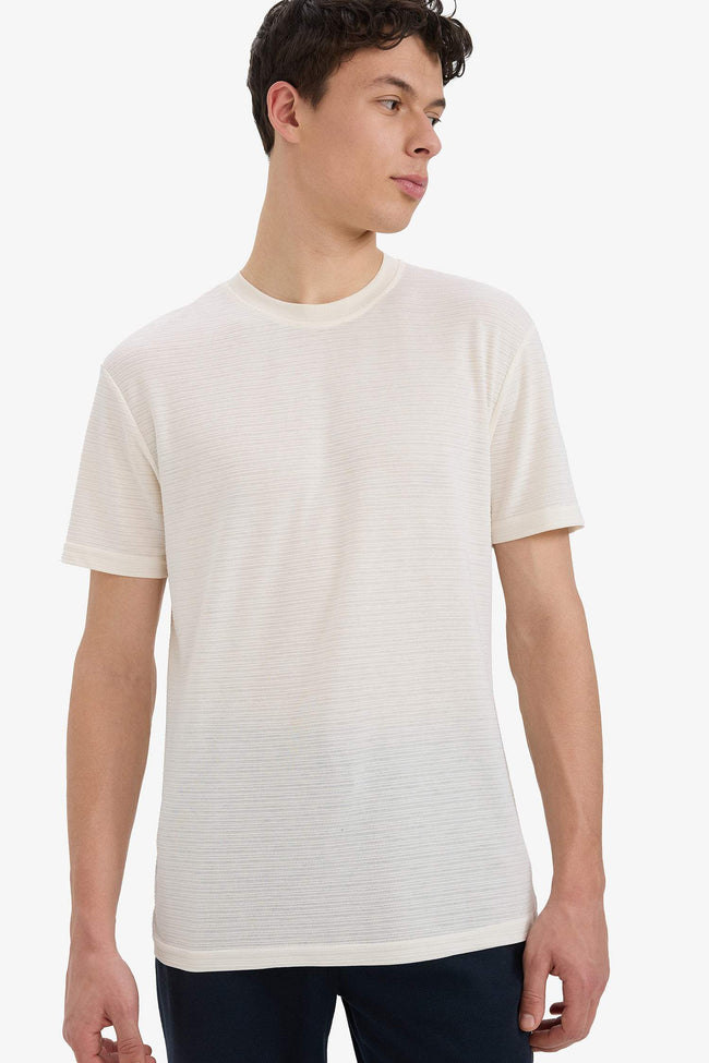 New Regular Fit Crew Neck T-Shirt Hover Image