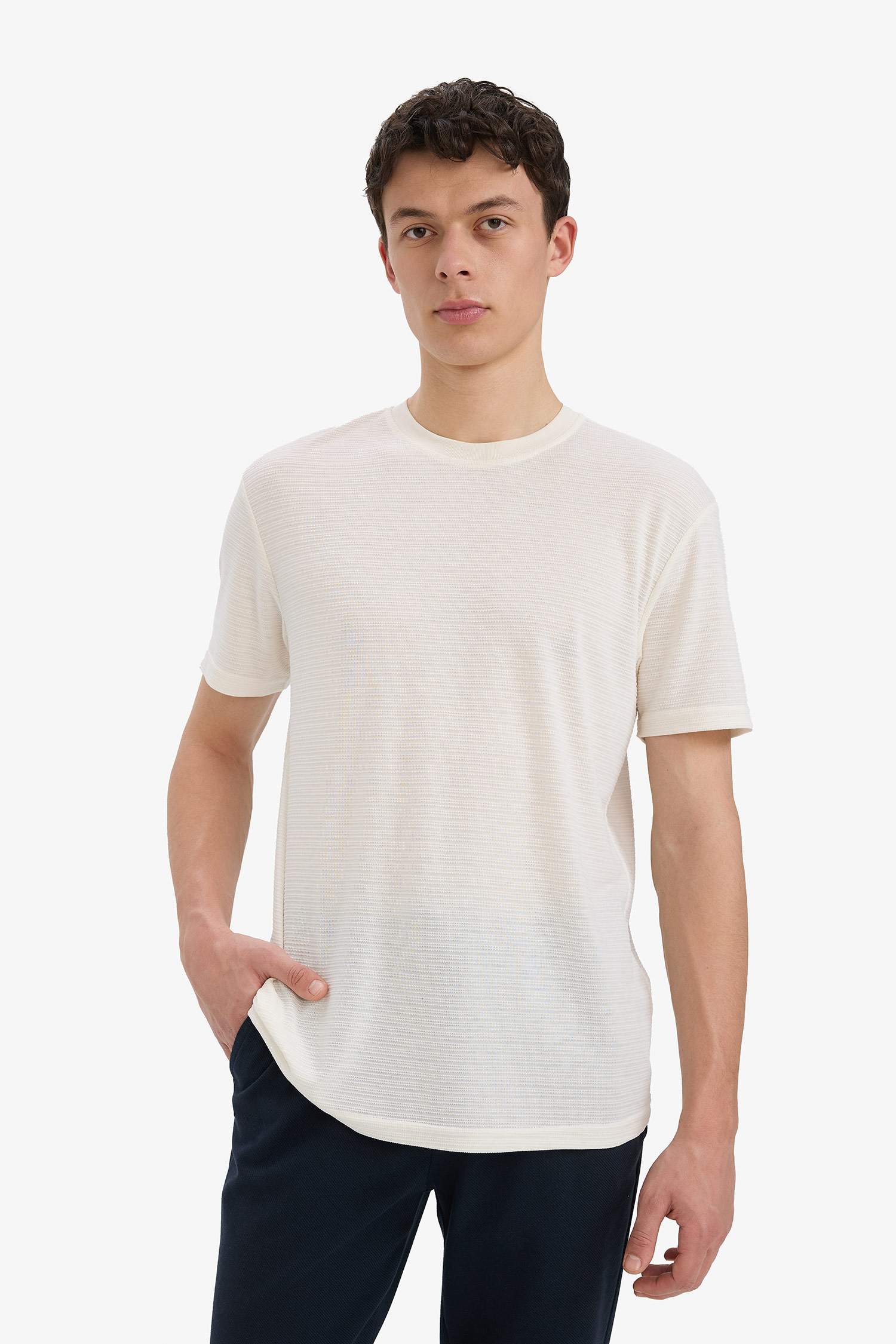 New Regular Fit Crew Neck T-Shirt