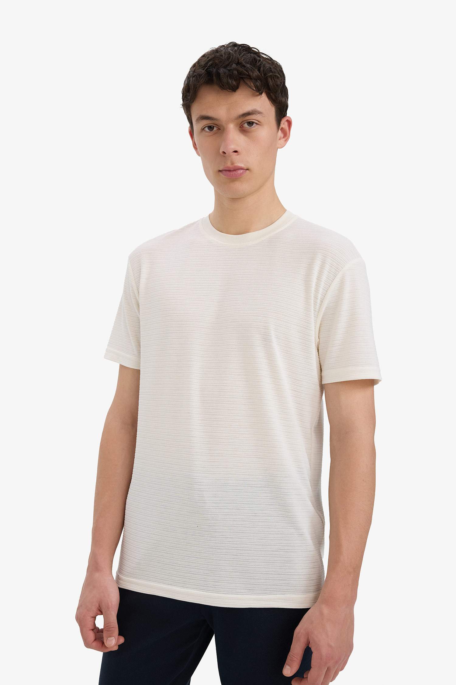 New Regular Fit Crew Neck T-Shirt