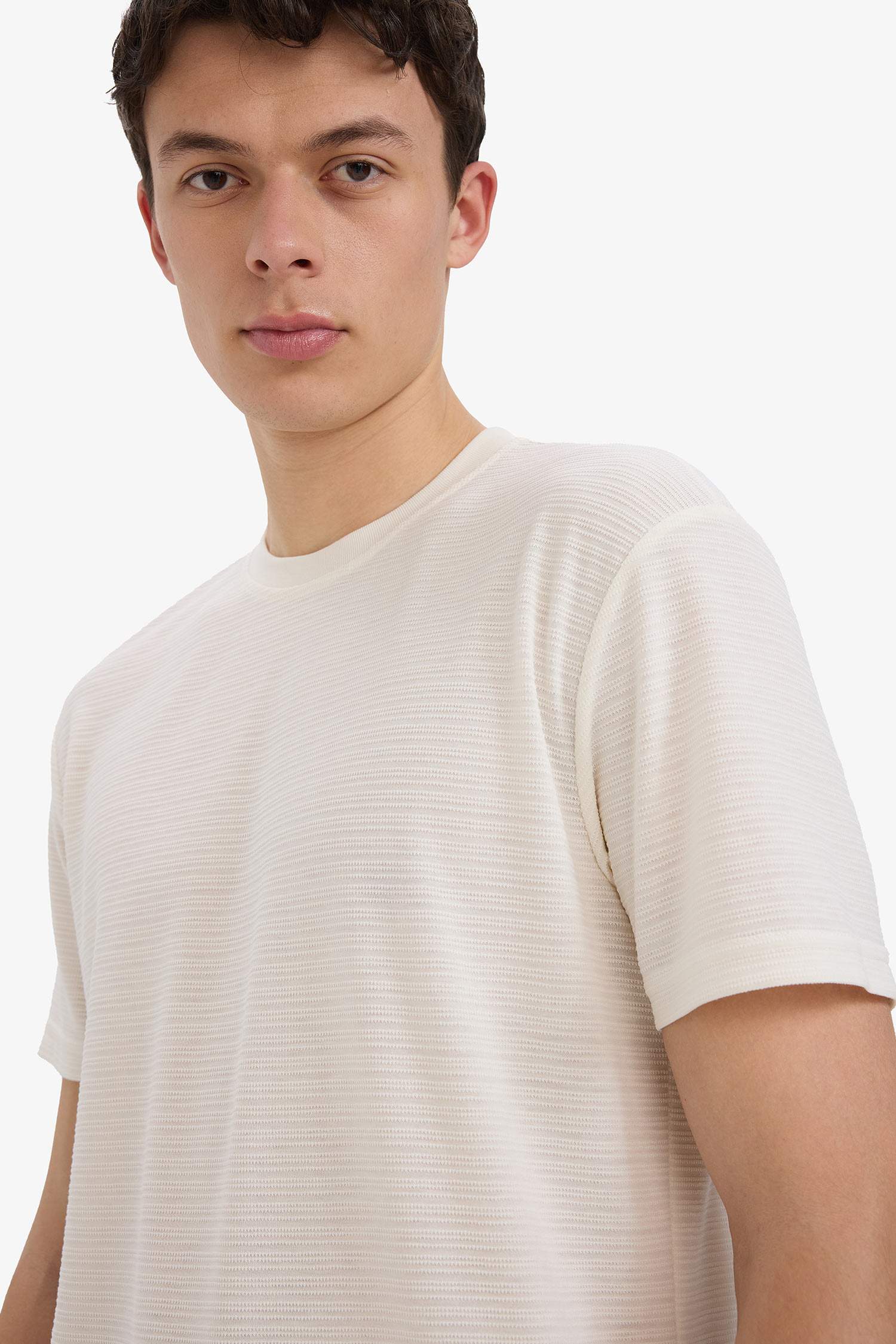 New Regular Fit Crew Neck T-Shirt