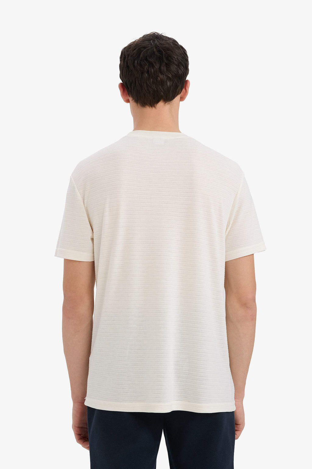 New Regular Fit Crew Neck T-Shirt