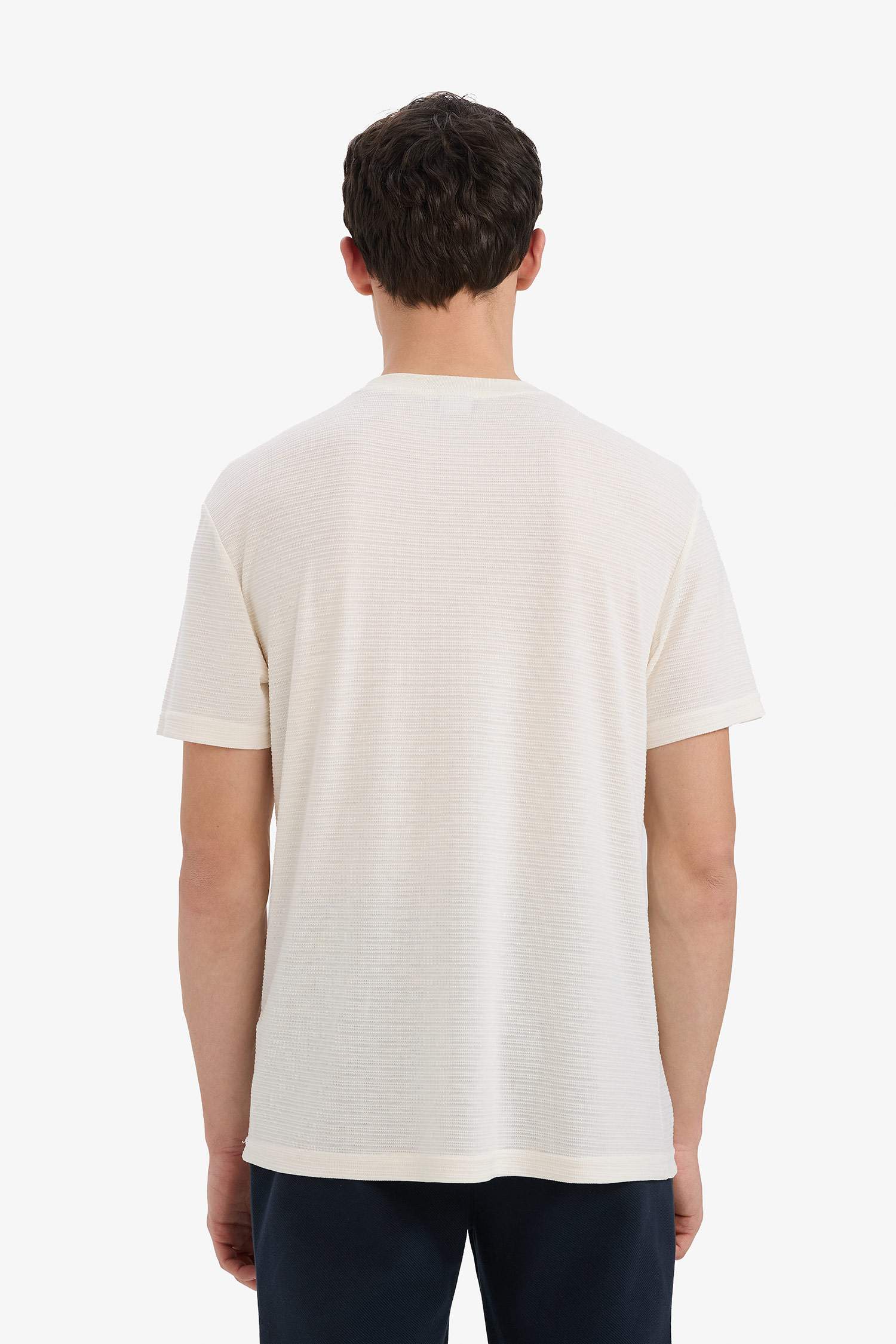 New Regular Fit Crew Neck T-Shirt