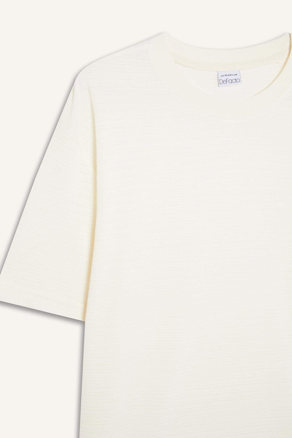 New Regular Fit Crew Neck T-Shirt