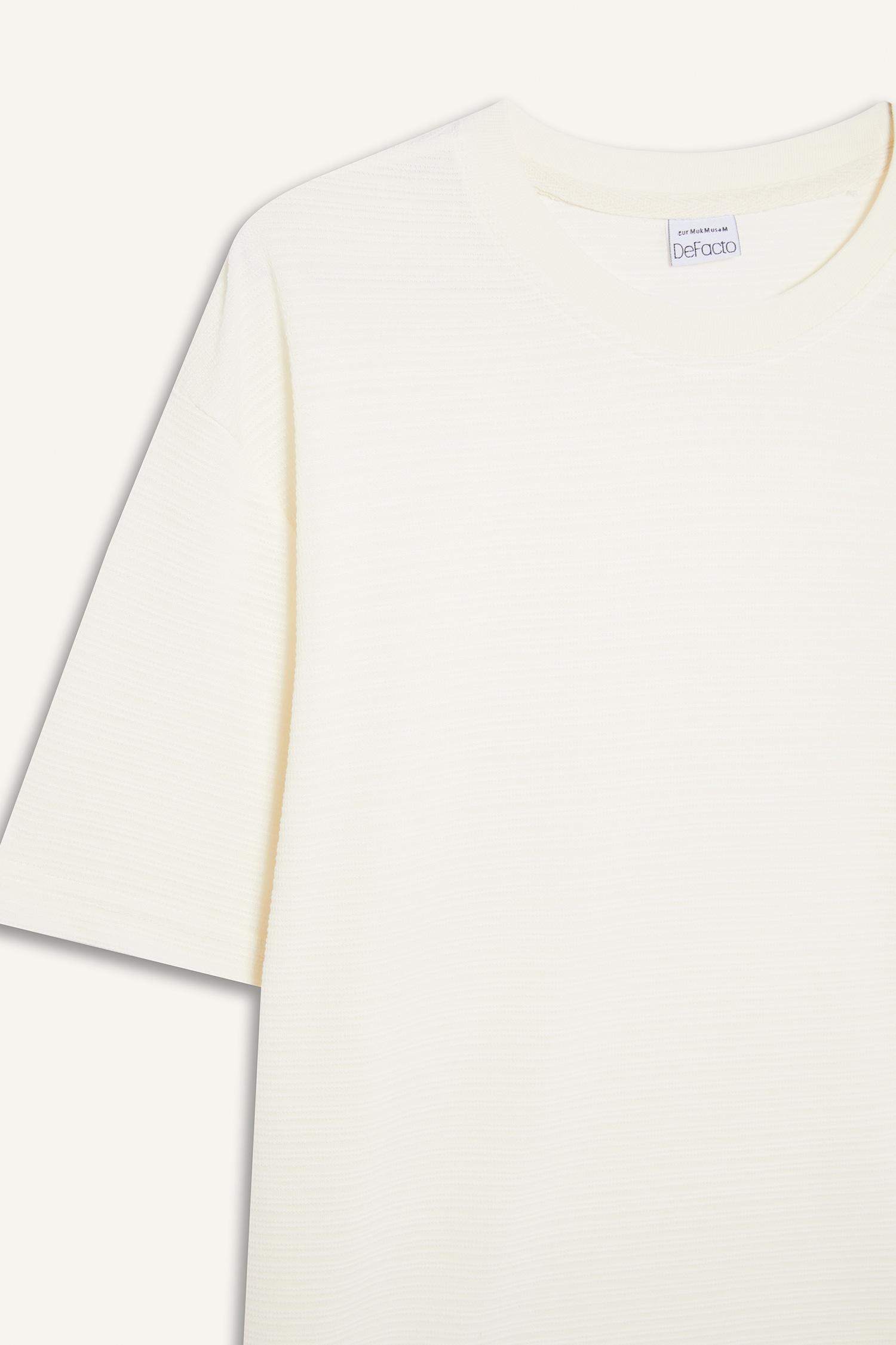 New Regular Fit Crew Neck T-Shirt