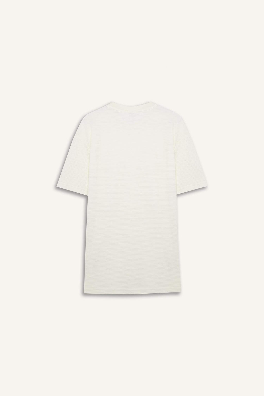 New Regular Fit Crew Neck T-Shirt