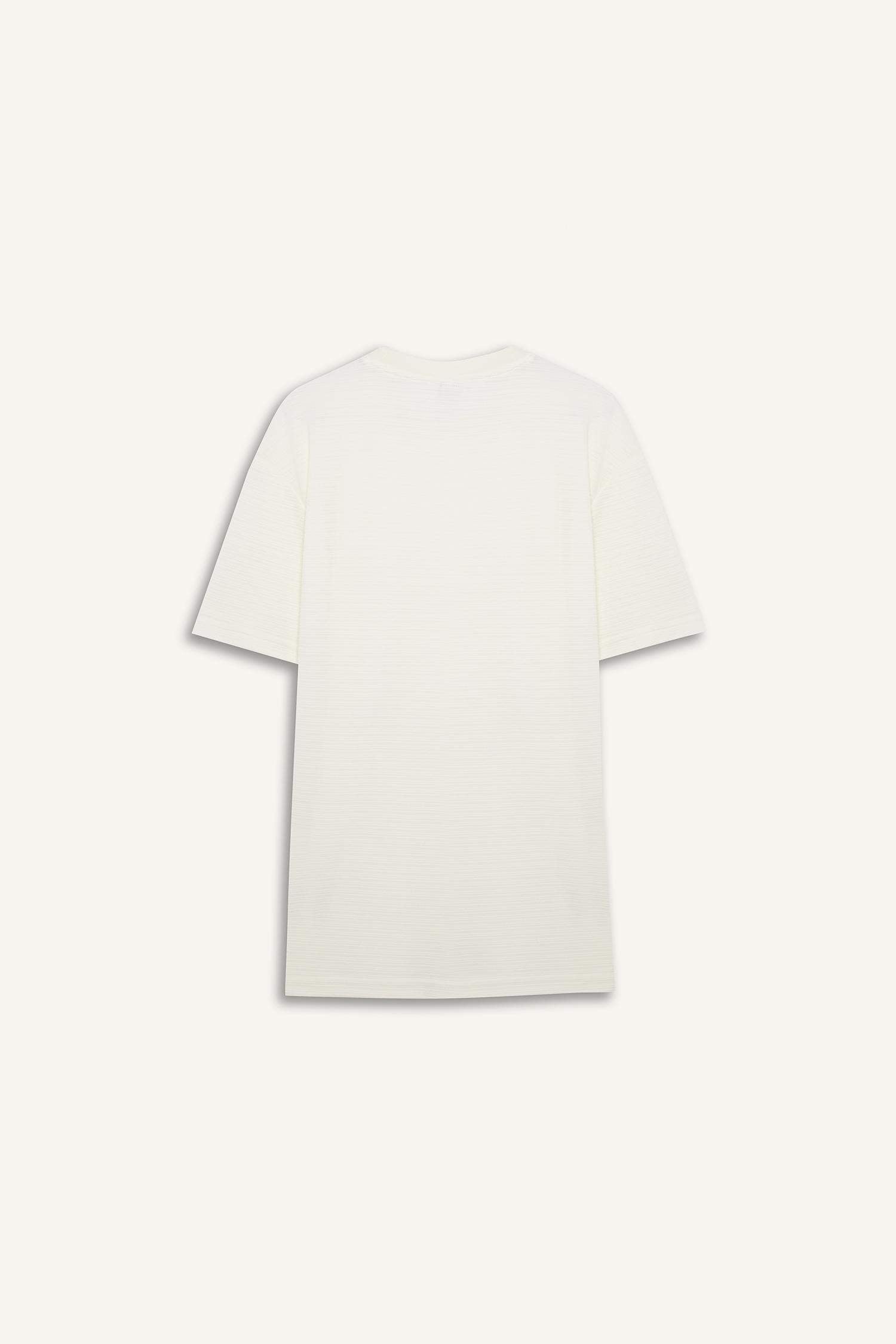 New Regular Fit Crew Neck T-Shirt