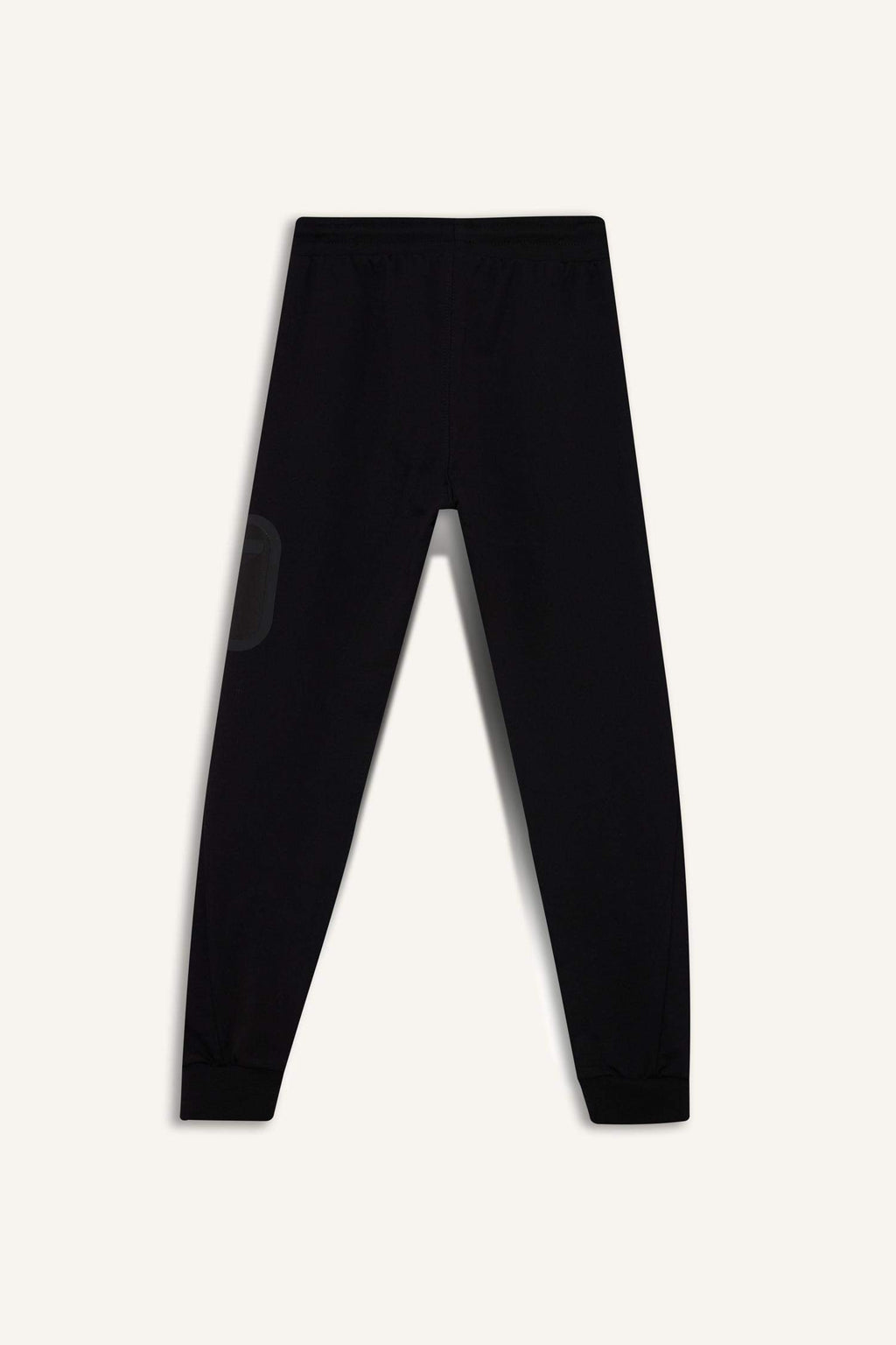 Printed Sweatpants With Elastic Waist And Cuffs For Boys