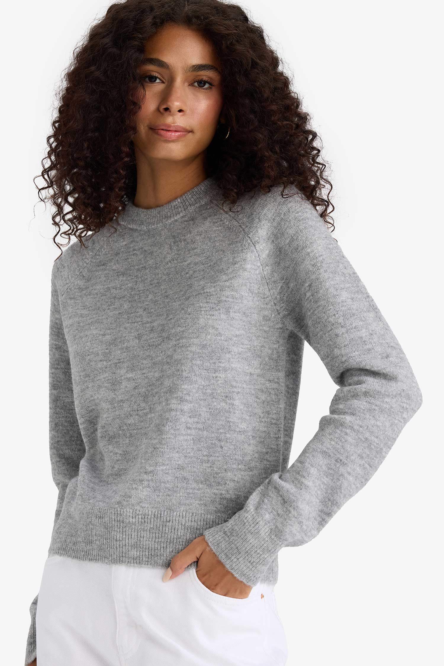 Regular Fit Crew Neck Basic Plain Soft Touch Knit Sweater