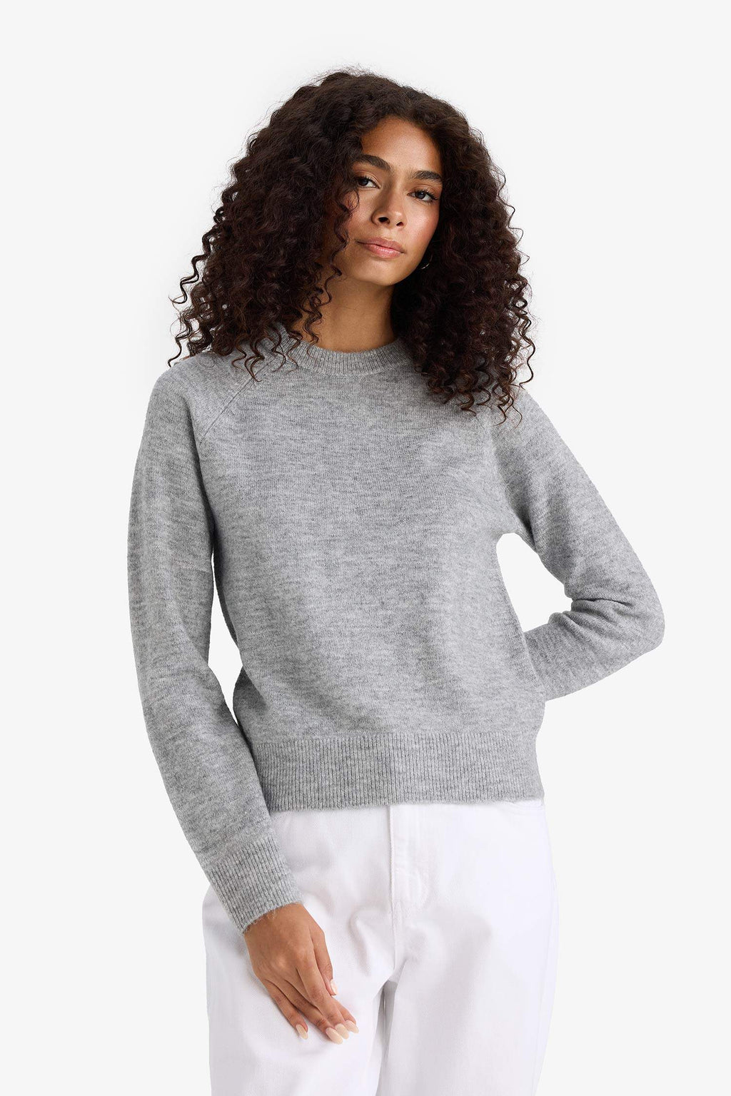 Regular Fit Crew Neck Basic Plain Soft Touch Knit Sweater