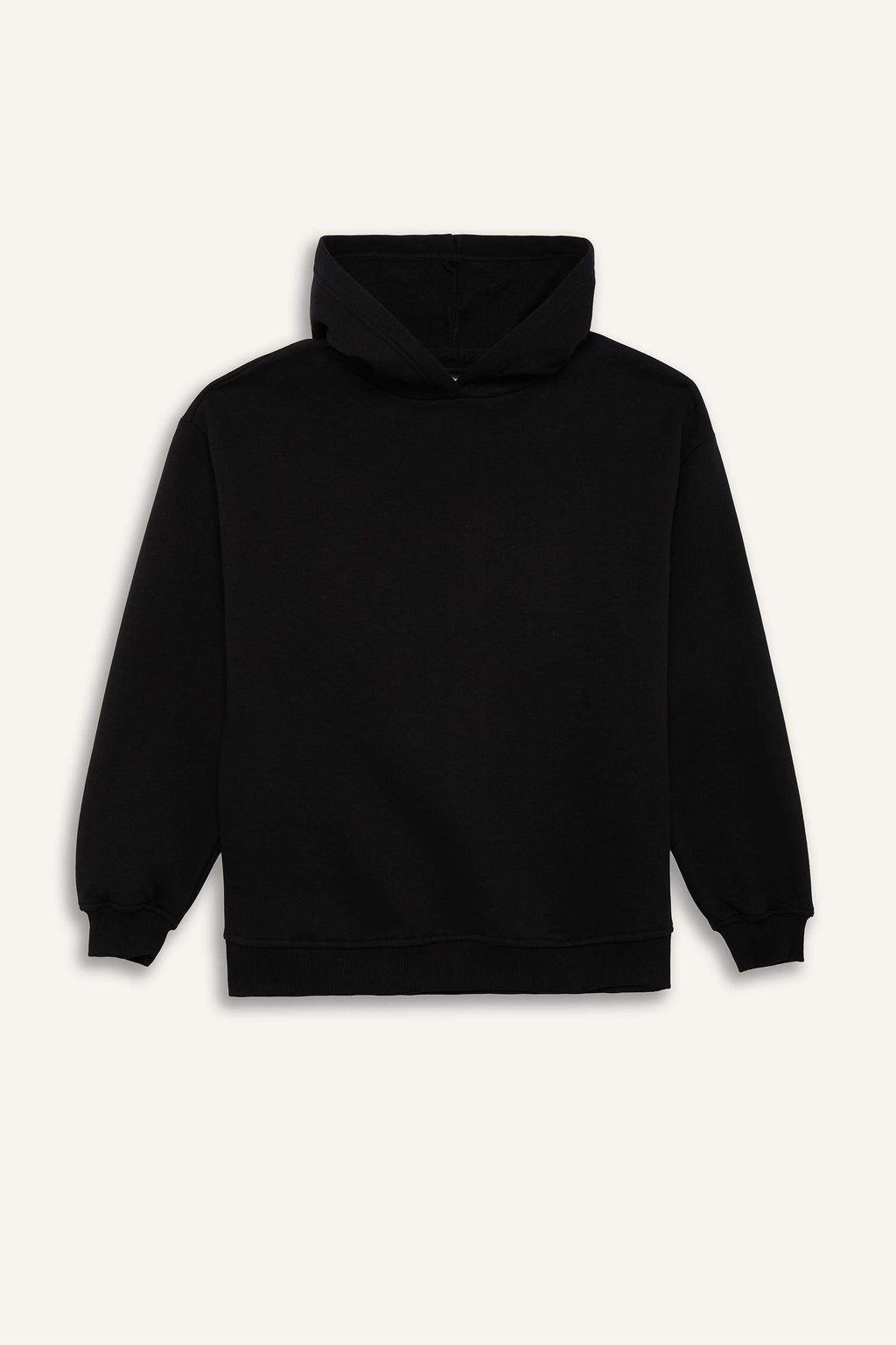 Relax Fit Hooded Basic Plain Thick Sweatshirt